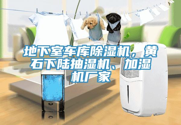 地下室車庫除濕機(jī)，黃石下陸抽濕機(jī)、加濕機(jī)廠家