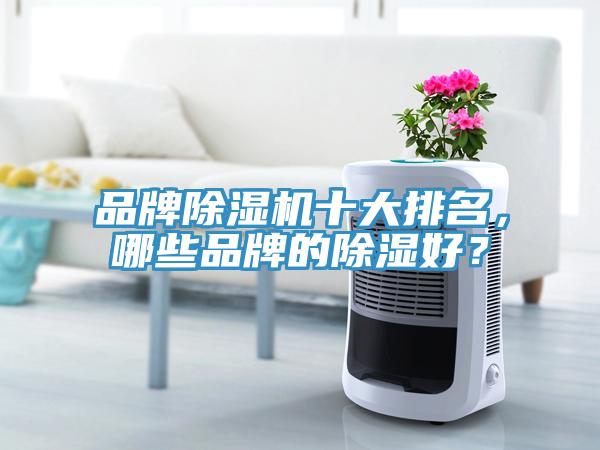 品牌除濕機(jī)十大排名，哪些品牌的除濕好？