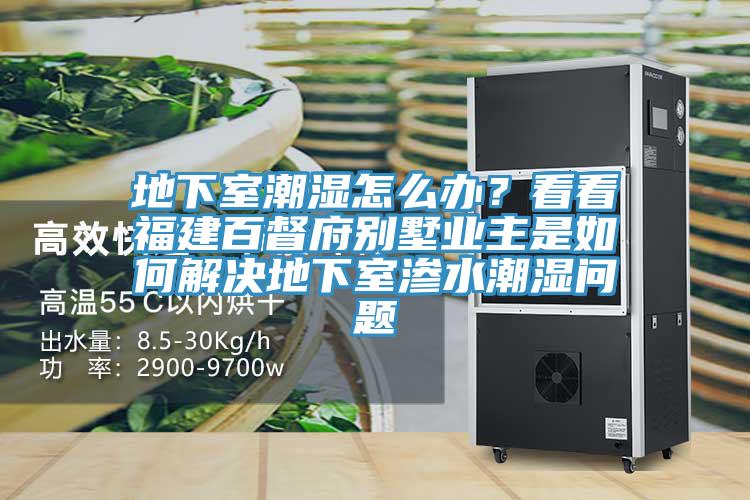 地下室潮濕怎么辦？看看福建百督府別墅業(yè)主是如何解決地下室滲水潮濕問題