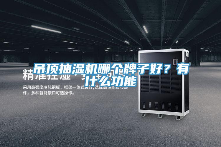 吊頂抽濕機哪個牌子好？有什么功能