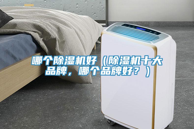 哪個(gè)除濕機(jī)好（除濕機(jī)十大品牌，哪個(gè)品牌好？）
