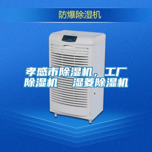 孝感市除濕機(jī)，工廠除濕機(jī)  濕菱除濕機(jī)