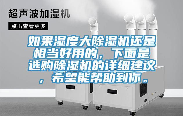 如果濕度大除濕機還是相當好用的，下面是選購除濕機的詳細建議，希望能幫助到你。