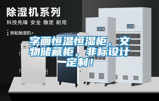 字畫恒溫恒濕柜，文物儲(chǔ)藏柜，非標(biāo)設(shè)計(jì)定制！
