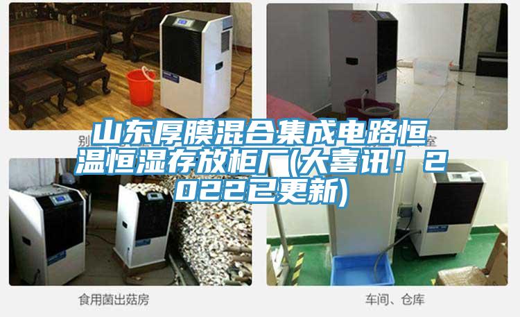 山東厚膜混合集成電路恒溫恒濕存放柜廠(大喜訊！2022已更新)