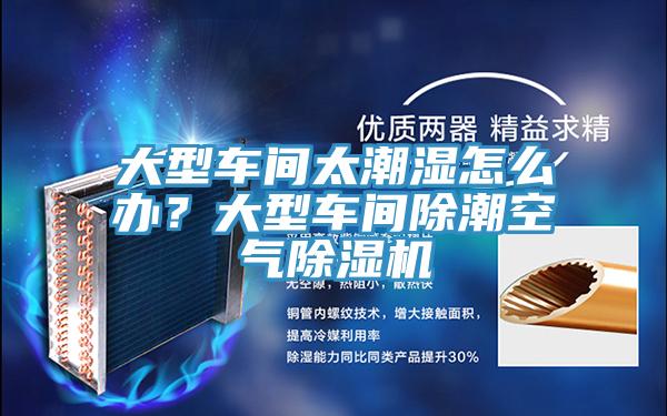 大型車間太潮濕怎么辦？大型車間除潮空氣除濕機(jī)