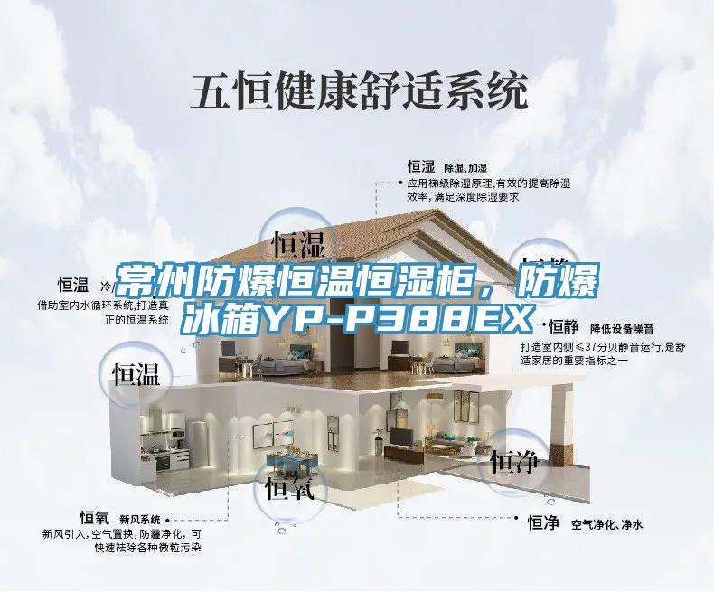常州防爆恒溫恒濕柜，防爆冰箱YP-P388EX