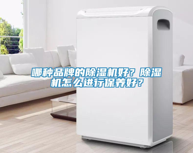 哪種品牌的除濕機(jī)好？除濕機(jī)怎么進(jìn)行保養(yǎng)好？