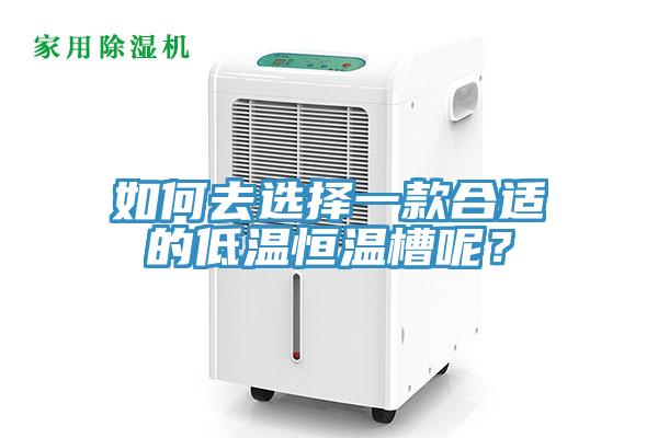 如何去選擇一款合適的低溫恒溫槽呢？