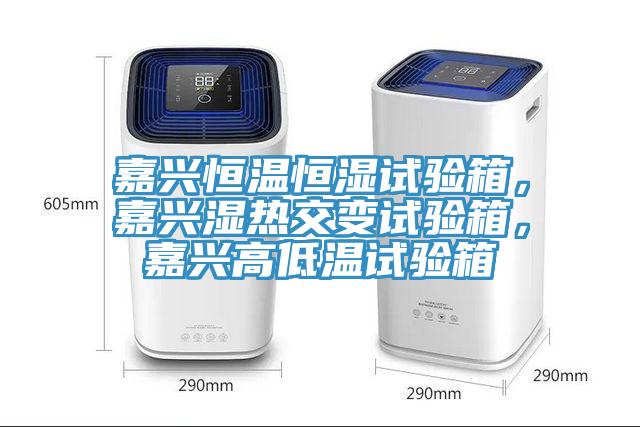 嘉興恒溫恒濕試驗(yàn)箱，嘉興濕熱交變?cè)囼?yàn)箱，嘉興高低溫試驗(yàn)箱