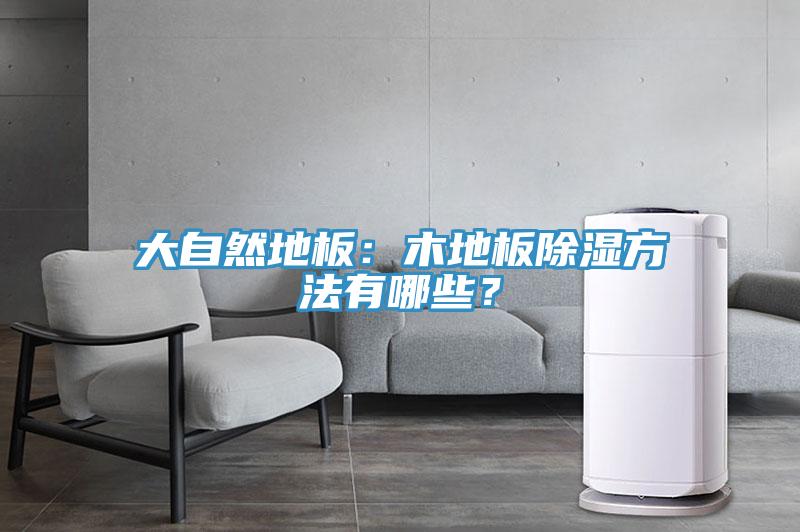 大自然地板：木地板除濕方法有哪些？