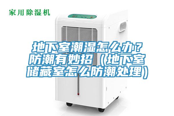 地下室潮濕怎么辦？防潮有妙招（地下室儲(chǔ)藏室怎么防潮處理）