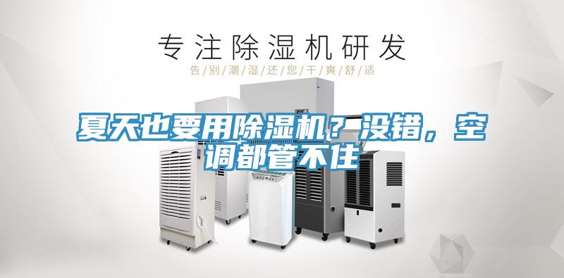 夏天也要用除濕機？沒錯，空調都管不住