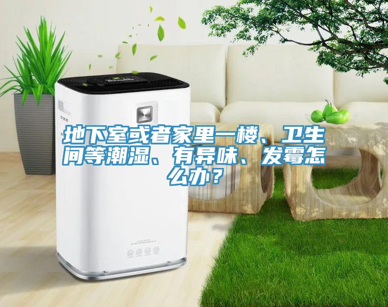 地下室或者家里一樓、衛(wèi)生間等潮濕、有異味、發(fā)霉怎么辦？