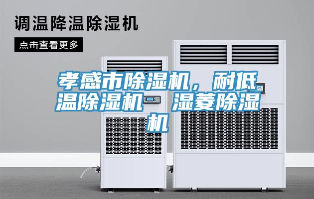 孝感市除濕機(jī)，耐低溫除濕機(jī)  濕菱除濕機(jī)