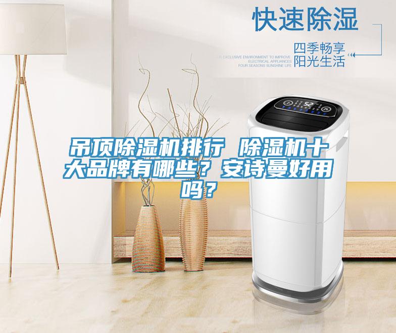 吊頂除濕機排行 除濕機十大品牌有哪些？安詩曼好用嗎？
