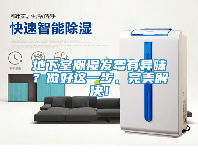 地下室潮濕發(fā)霉有異味？做好這一步，完美解決！