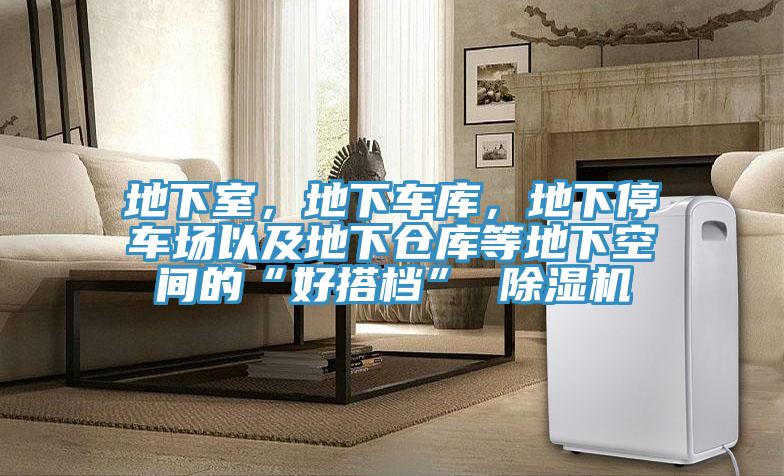 地下室，地下車庫，地下停車場以及地下倉庫等地下空間的“好搭檔” 除濕機