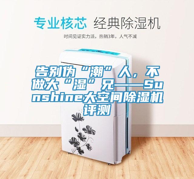 告別偽“潮”人，不做大“濕”兄——Sunshine大空間除濕機(jī)評測