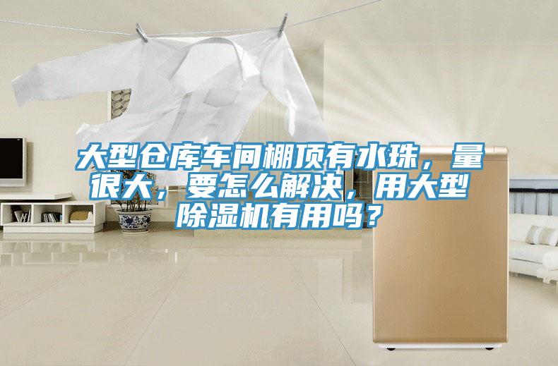 大型倉(cāng)庫(kù)車(chē)間棚頂有水珠，量很大，要怎么解決，用大型除濕機(jī)有用嗎？