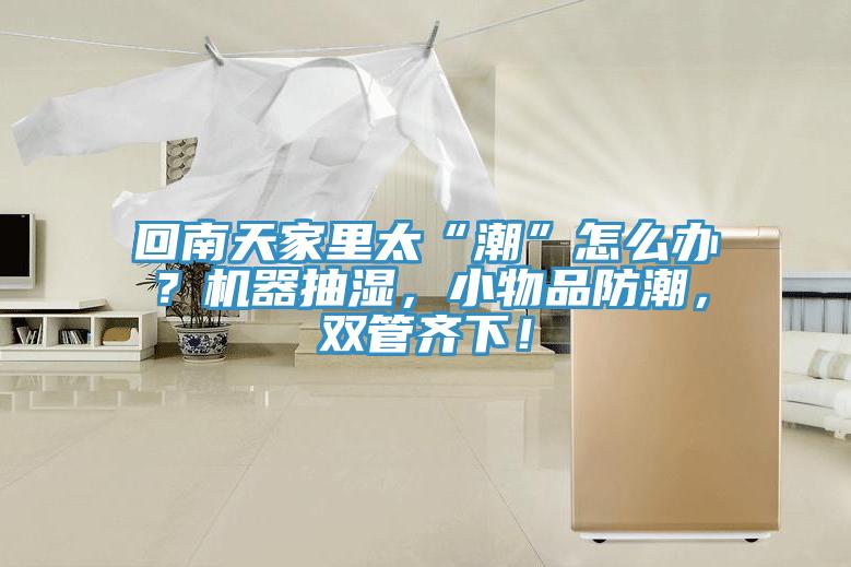 回南天家里太“潮”怎么辦？機器抽濕，小物品防潮，雙管齊下！