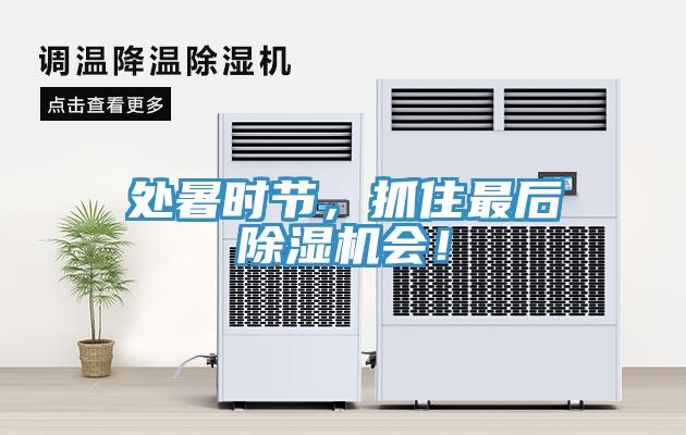處暑時節(jié)，抓住最后除濕機會！
