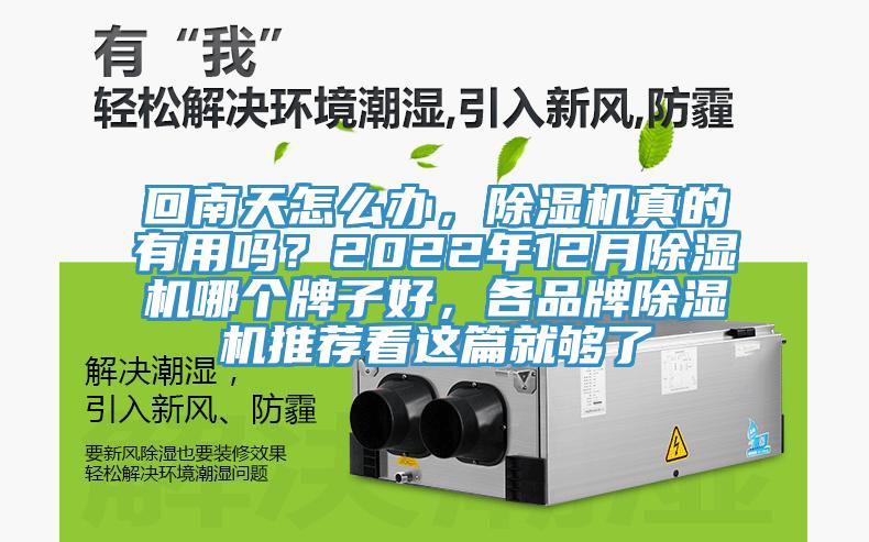 回南天怎么辦，除濕機真的有用嗎？2022年12月除濕機哪個牌子好，各品牌除濕機推薦看這篇就夠了