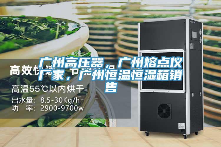 廣州高壓器，廣州熔點(diǎn)儀廠家，廣州恒溫恒濕箱銷售