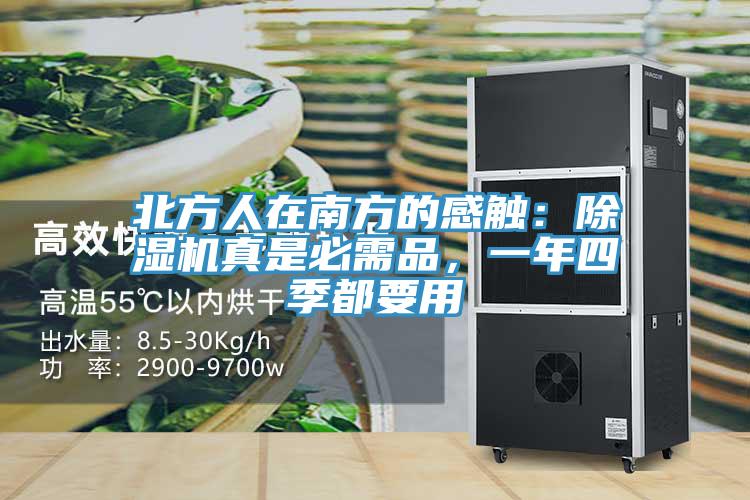 北方人在南方的感觸：除濕機(jī)真是必需品，一年四季都要用