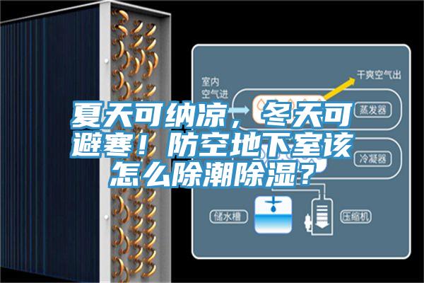 夏天可納涼，冬天可避寒！防空地下室該怎么除潮除濕？
