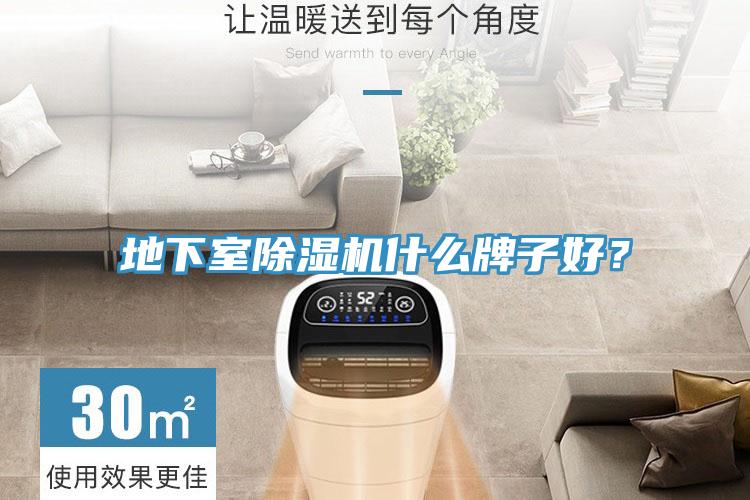 地下室除濕機(jī)什么牌子好？