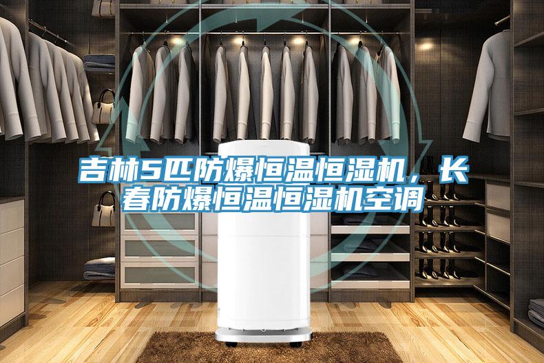 吉林5匹防爆恒溫恒濕機，長春防爆恒溫恒濕機空調(diào)