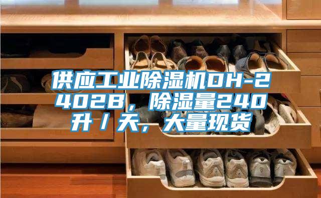 供應(yīng)工業(yè)除濕機(jī)DH-2402B，除濕量240升／天，大量現(xiàn)貨