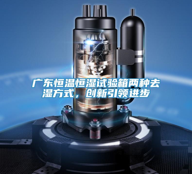 廣東恒溫恒濕試驗箱兩種去濕方式，創(chuàng)新引領(lǐng)進步