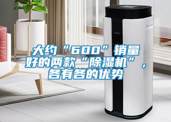 大約“600”銷量好的兩款“除濕機(jī)”，各有各的優(yōu)勢