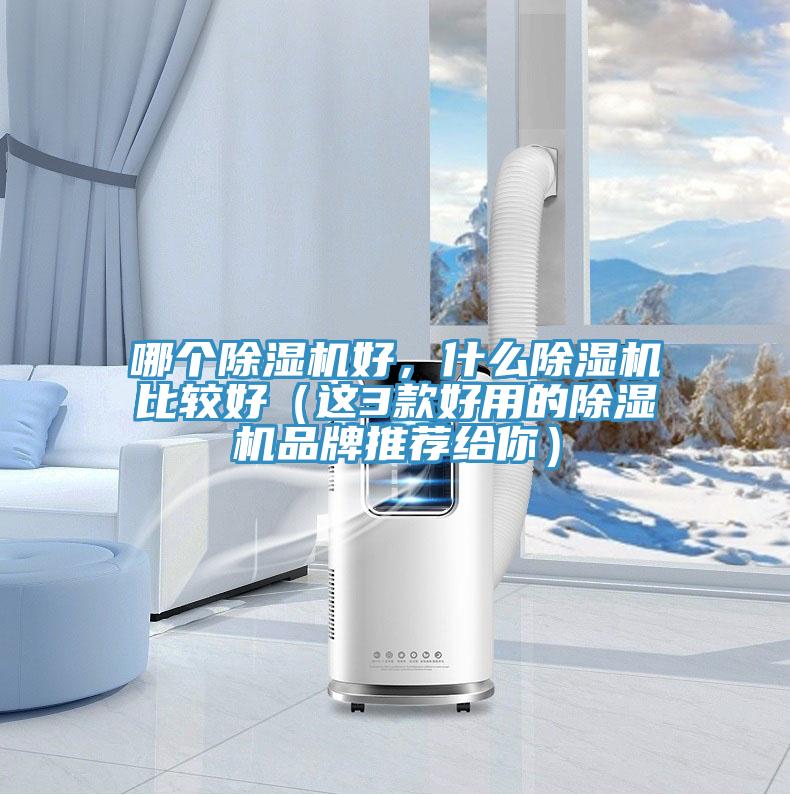 哪個(gè)除濕機(jī)好，什么除濕機(jī)比較好（這3款好用的除濕機(jī)品牌推薦給你）