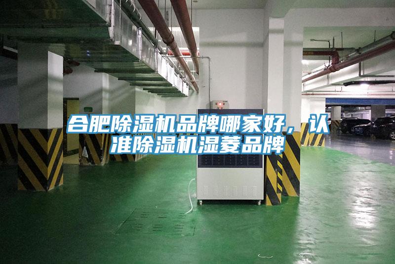 合肥除濕機(jī)品牌哪家好，認(rèn)準(zhǔn)除濕機(jī)濕菱品牌