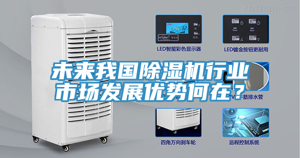 未來我國(guó)除濕機(jī)行業(yè)市場(chǎng)發(fā)展優(yōu)勢(shì)何在？