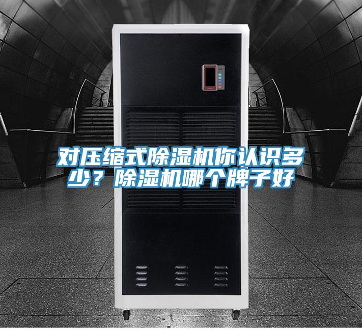對壓縮式除濕機你認識多少？除濕機哪個牌子好