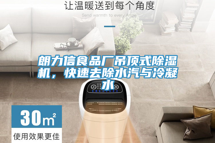 朗力信食品廠吊頂式除濕機(jī)，快速去除水汽與冷凝水