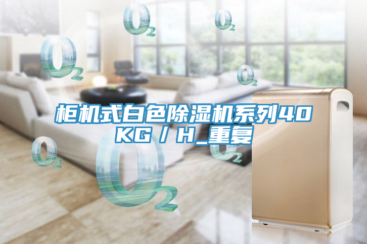 柜機式白色除濕機系列40KG／H_重復