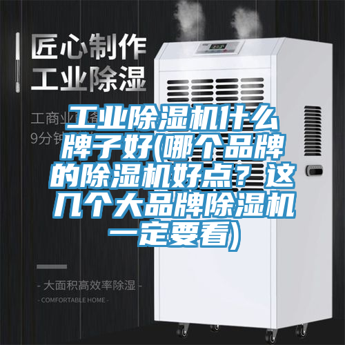 工業(yè)除濕機(jī)什么牌子好(哪個品牌的除濕機(jī)好點(diǎn)？這幾個大品牌除濕機(jī)一定要看)