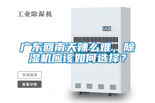 廣東回南天辣么難，除濕機(jī)應(yīng)該如何選擇？