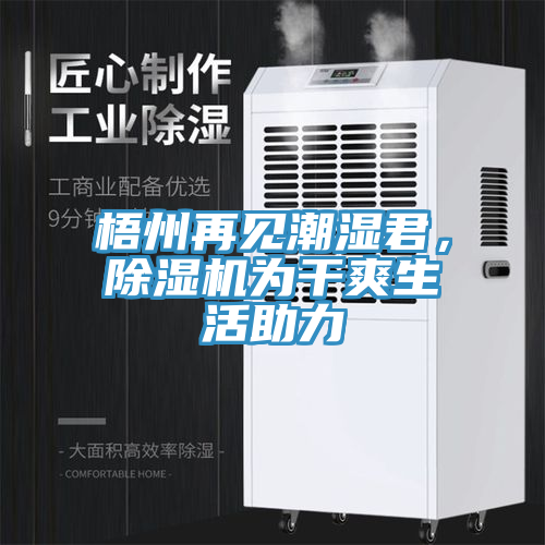 梧州再見潮濕君，除濕機(jī)為干爽生活助力
