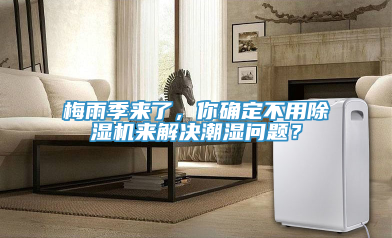 梅雨季來了，你確定不用除濕機來解決潮濕問題？