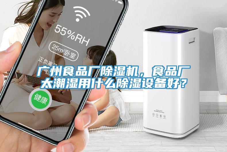 廣州食品廠除濕機(jī)，食品廠太潮濕用什么除濕設(shè)備好？