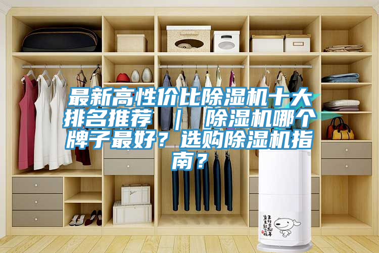 最新高性價比除濕機(jī)十大排名推薦 ｜ 除濕機(jī)哪個牌子最好？選購除濕機(jī)指南？