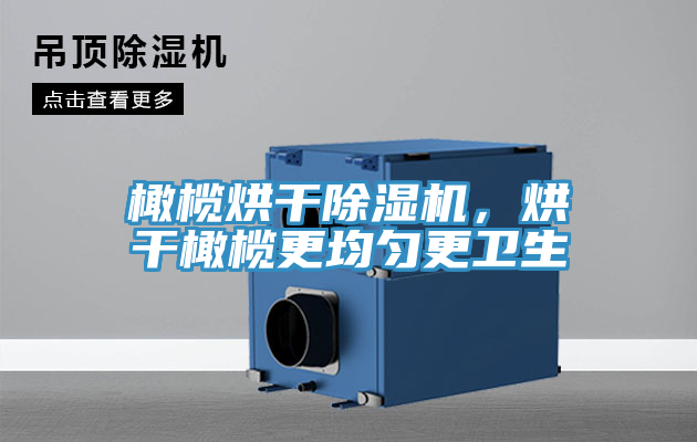 橄欖烘干除濕機(jī)，烘干橄欖更均勻更衛(wèi)生