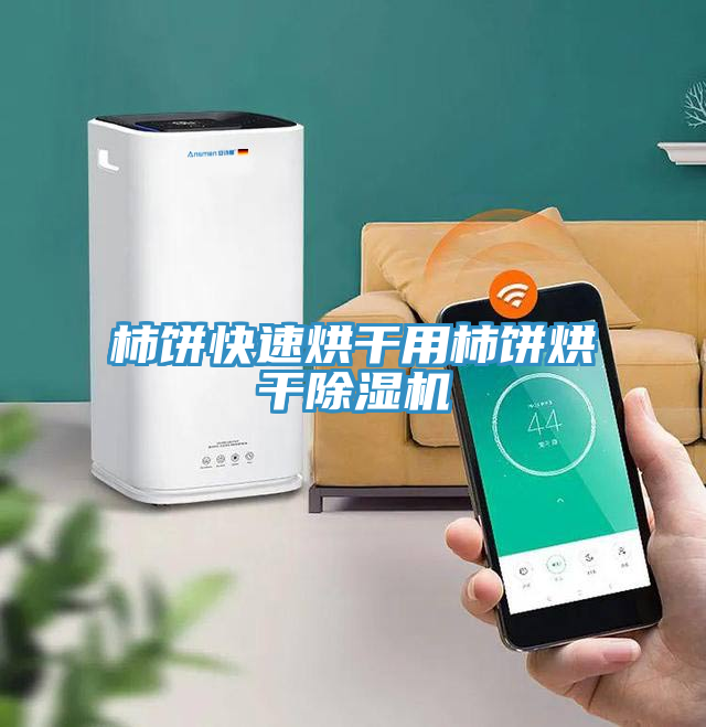 柿餅快速烘干用柿餅烘干除濕機