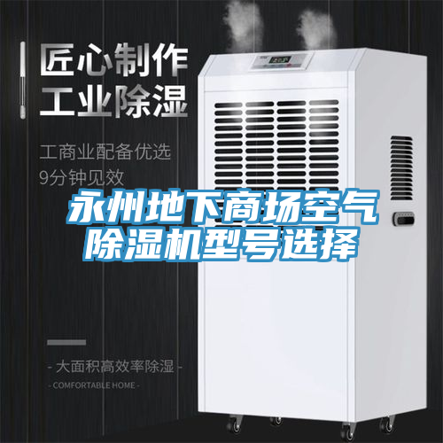 永州地下商場空氣除濕機(jī)型號(hào)選擇